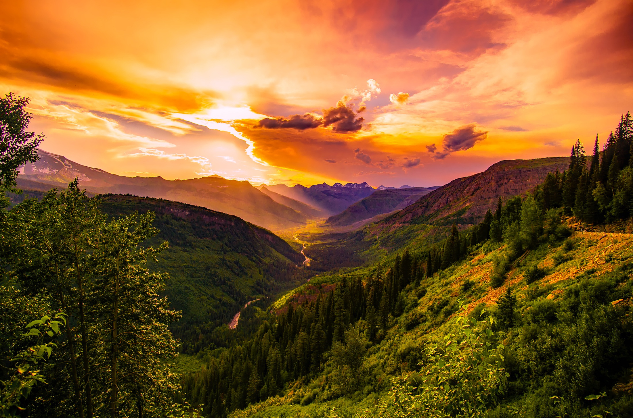 Scenic Montana Landscape