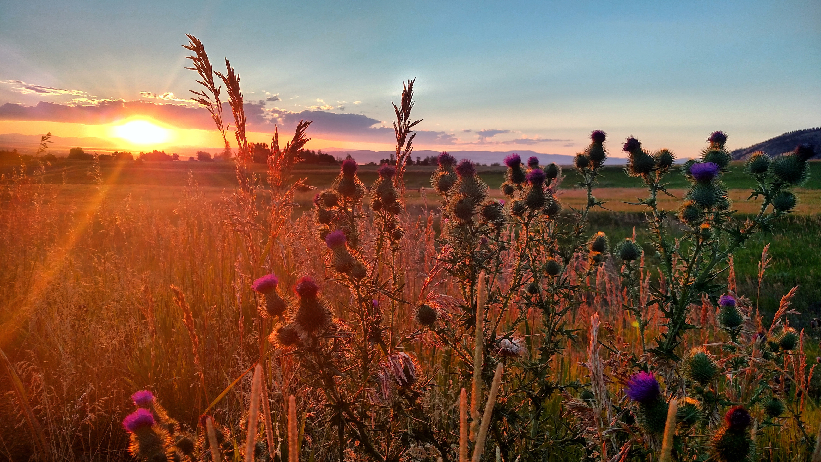 Montana Mountain Range Sunset